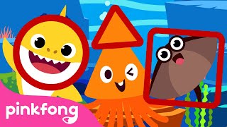 Learn Shapes with Squid🦑 &amp; Baby Shark 🔵🔺◾️ |+Compilation | Pinkfong Shape Songs for Children