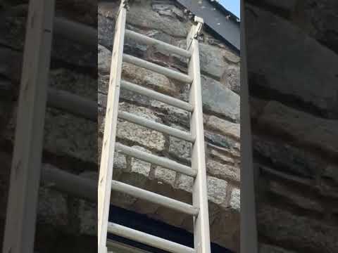 Ultimate Pest Control video.