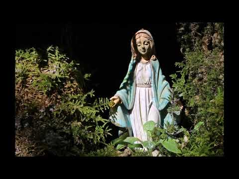 Mit dir, Maria, singen wir