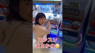スンスンがまさかの…😳💦　#スンスン　#すんすん　#クレーンゲーム　#ゲーム実況