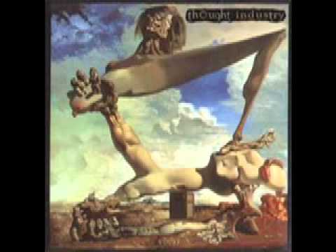 Thought Industry-Songs For Insects