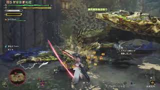 [モンハンワイルズ]桜満開宴のバウンティ！