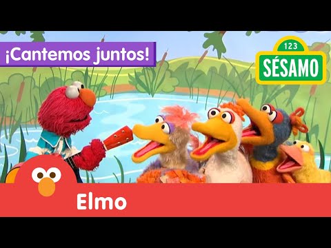 Plaza Sésamo: Elmo y sus amigos patitos - ¡Cantemos juntos!