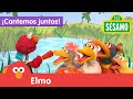 Plaza Sésamo Elmo Y Sus Amigos Patitos Cantemos Juntos