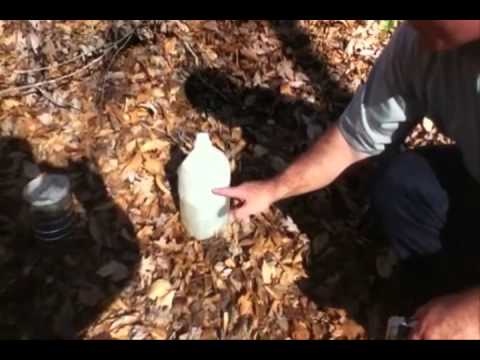 Seecamp Second Impressions