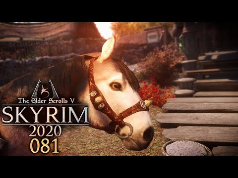 SKYRIM 2020 🐉 081: Abgeladen und Aufgestiegen