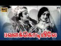 Pavalakodiyile Video Song HD பவளக்கொடியிலே Song Panam Padaithavan M G R K 