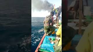 video: More than 100 migrants feared drowned after boat sailing from Senegal to Canary Islands catches fire