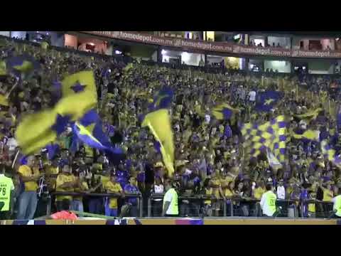 "Cuando el equipo anda mal" Barra: Libres y Lokos &bull; Club: Tigres