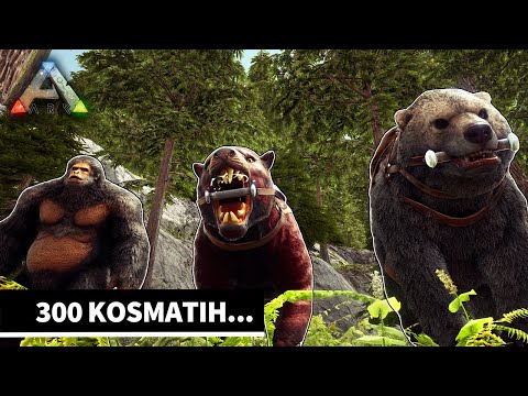 300 Kosmatih... E31 - ARK [SLO]