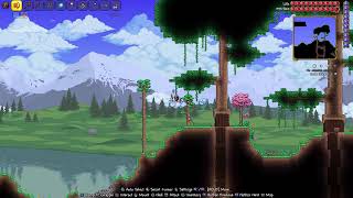 boss killing stream - Terraria