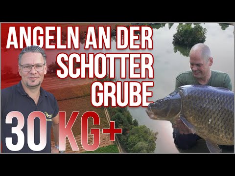 33,5kg 😲 Eskalation in Österreich | Baggersee | Karpfenangeln
