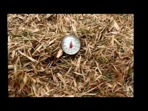 Update 1-Composting cardboard with red worms