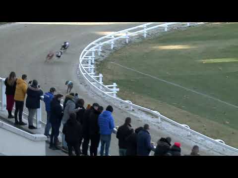 2021.12.04. 01. bezárás - Mester Tréner Díj