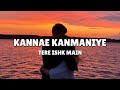 Kannae Kanmaniye (Lyrics) - Tere Ishk Main | kannae kanmaniye unnodu saran