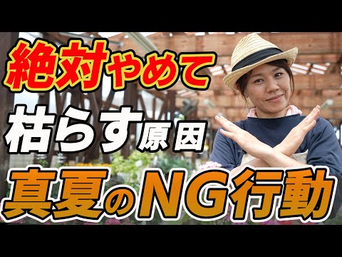 咲くスタージャスミン