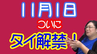 【11月1日】タイを自由に動けるよー！・りえらじ