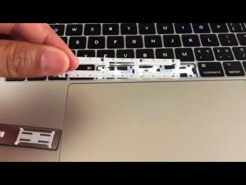 How To Remove Spacebar From Laptop Keyboard Full Guide Rank Laptop How To Remove Spacebar From Laptop Keyboard Full Guide Rank Laptop