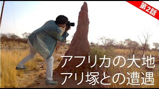 アフリカの大地でアリ塚との遭遇【ナミビア旅行②】