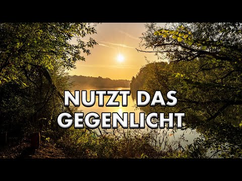 LANDSCHAFTSFOTOGRAFIE im Gegenlicht | Sonnenaufgang auf der Donau