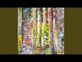 A Fire In The Forest (Remixed by Readymade FC)