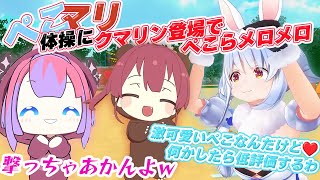 【ぺこマリ体操】皆勤賞のヴィヴィと可愛すぎるクマリンと３人でぺこマリ体操！【ホロライブ切抜き】  ＃宝鐘マリン ＃兎田ぺこら #綺々羅々ヴィヴィ＃ぺこマリ  ＃クマリン ＃ホロライブ ＃切り抜き