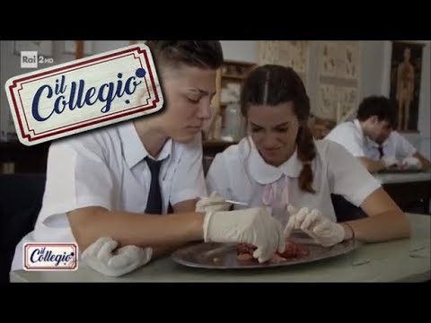 Lezioni (matematica, latino, scienze) - Prima puntata - Il Collegio 2