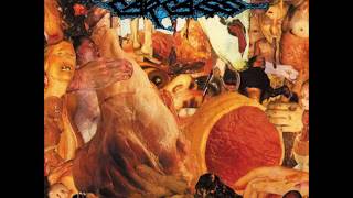 Carcass - Symphonies Of Sickness [Full Album]
