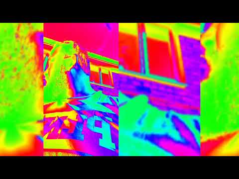 Taz - Kamień milowy