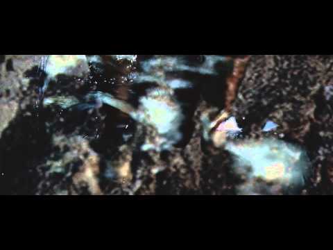 Kid Moxie & The Gaslamp Killer - "Museum Motel" (Official Video)