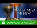 Santa Misa De Hoy ⛪ Domingo De Ramos 14 De Abril De 2019, Monseñor Élkin Fernando Álvarez - Tele VID