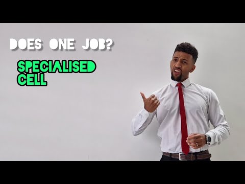 Science Raps: GCSE Biology - Specialisation