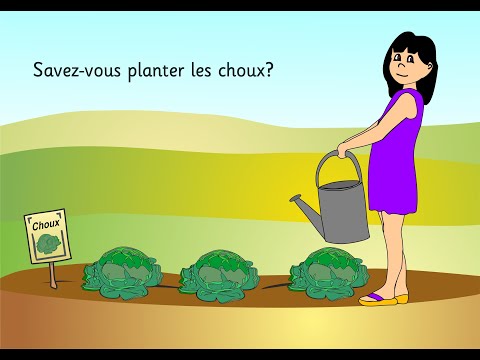 Savez-vous planter les choux
