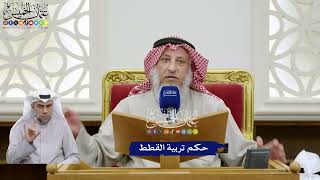 385 - حكم تربية القطط - عثمان الخميس