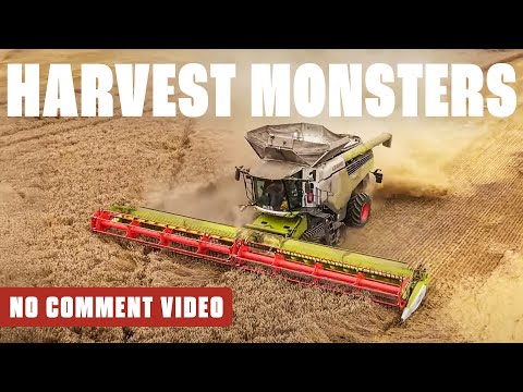 Harvest Monsters: 3500ha of Grain at Top Speed with 2 Lexion 8900! (Harvest Monsters,AGRICULTURE)
