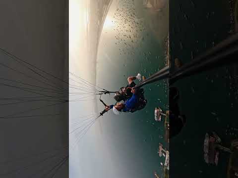 YouTube fM8gLgJ4-3E