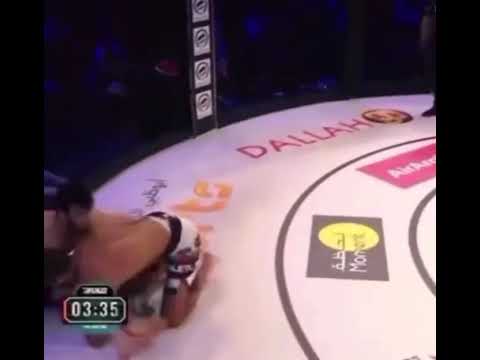 Shoaib yousaf vs talal fight highlights brave mma