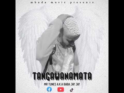 Mr Tunes    Tangawanamata.  #zimdancehall