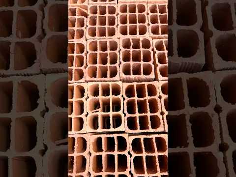 V&iacute;deo 5