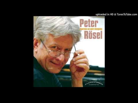 Peter Rösel 彼得.羅塞爾:樂興之時~鋼琴小品集 Peter Rösel: Humoresken und andere Kleinigkeiten (CD ...