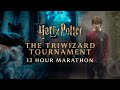 Harry Potter Triwizard Tournament Compilation