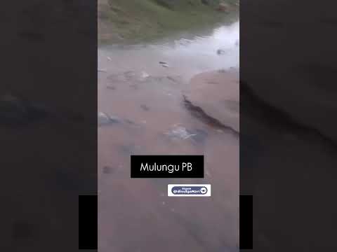 Chuvas no Nordeste: Quantos peixes em Mulungu