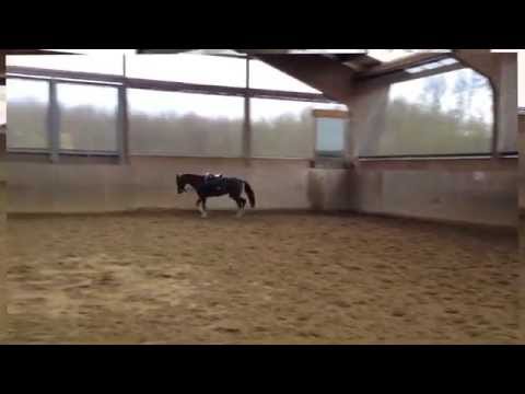 Nancy die Perle vom Splitting