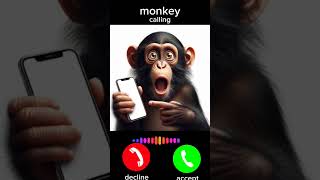 Download lagu monkeycalling #ringtone#shorts mp3 Download lagu monkeycalling #ringtone#shorts mp3