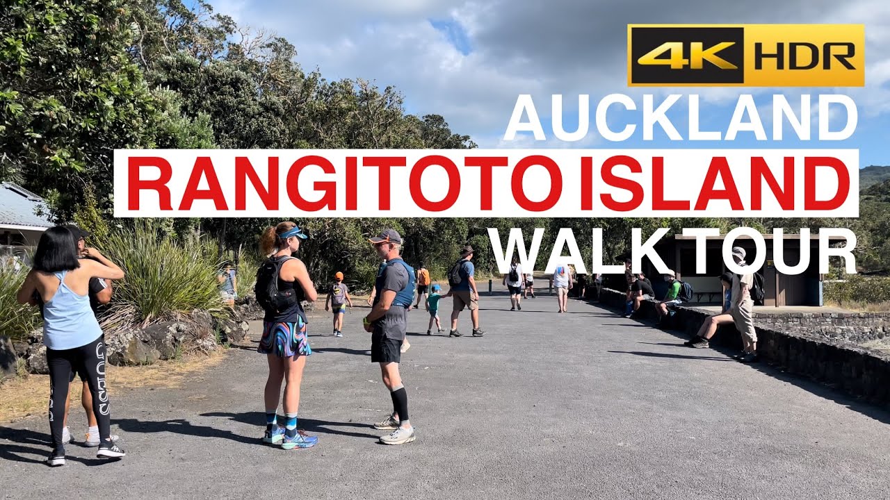 Embark on a walking tour of Rangitoto Island.
