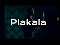 Divokej Bill Plakala Jan Stavinoha Cover