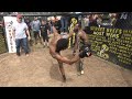 STREETBEEFS BUTTERFLY Vs DEBO