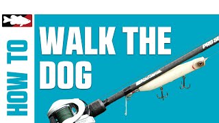 How-To Walk the Dog with a Topwater