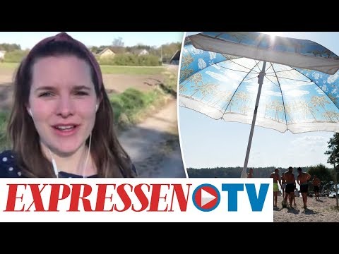 Glädjeprognosen: Värmen fortsätter