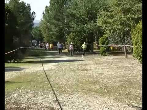 ONDA TG 27.02.2014 - CORSA CAMPESTRE FASE REGIONALE CAMPIONATI STUDENTESCHI